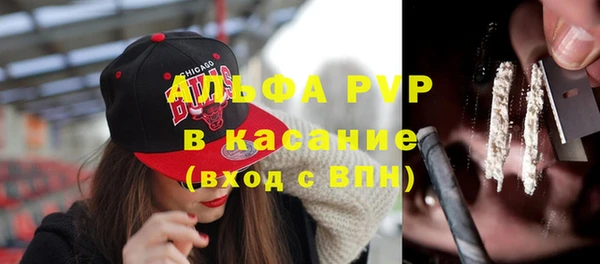 твердый Арсеньев