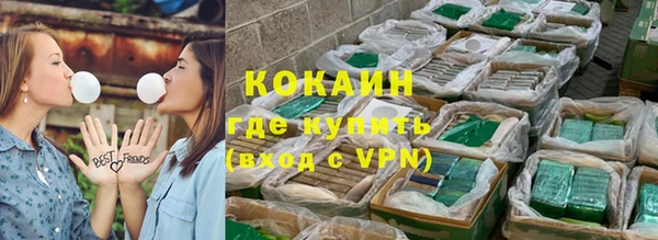 твердый Арсеньев