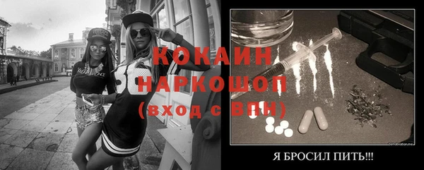 твердый Арсеньев