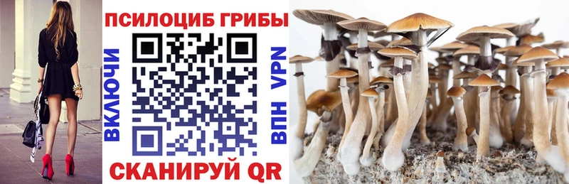 Купить  Мамадыш  Галлюциногенные грибы Magic Shrooms 